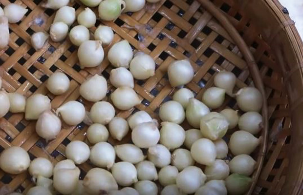 Bún Tươi Kiều Trang